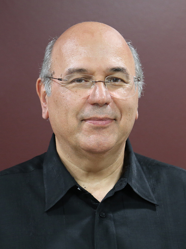 Dimitris C. Lagoudas